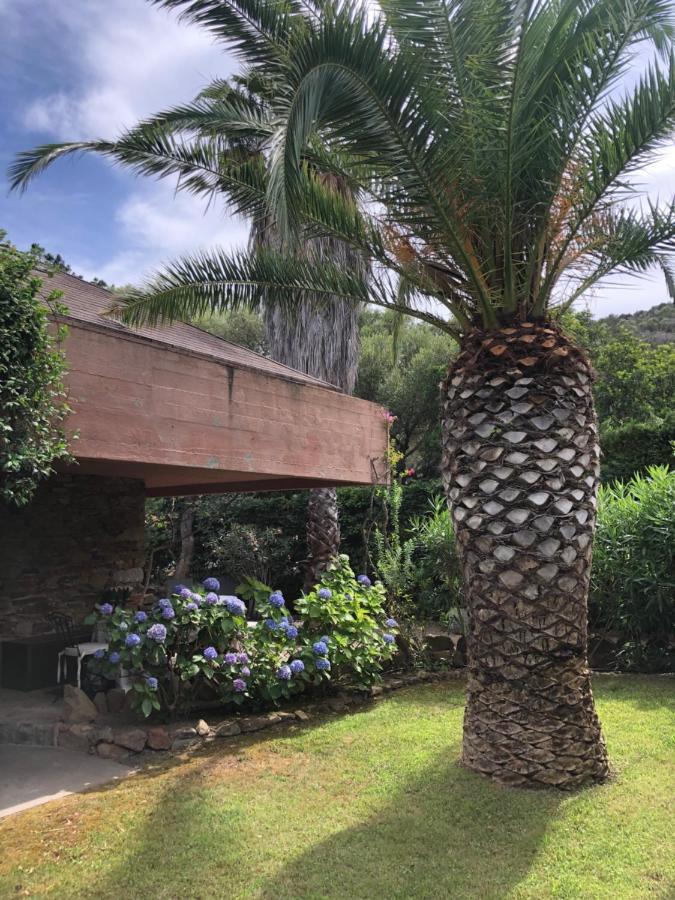 Villa 4 Porto Rotondo Exteriér fotografie