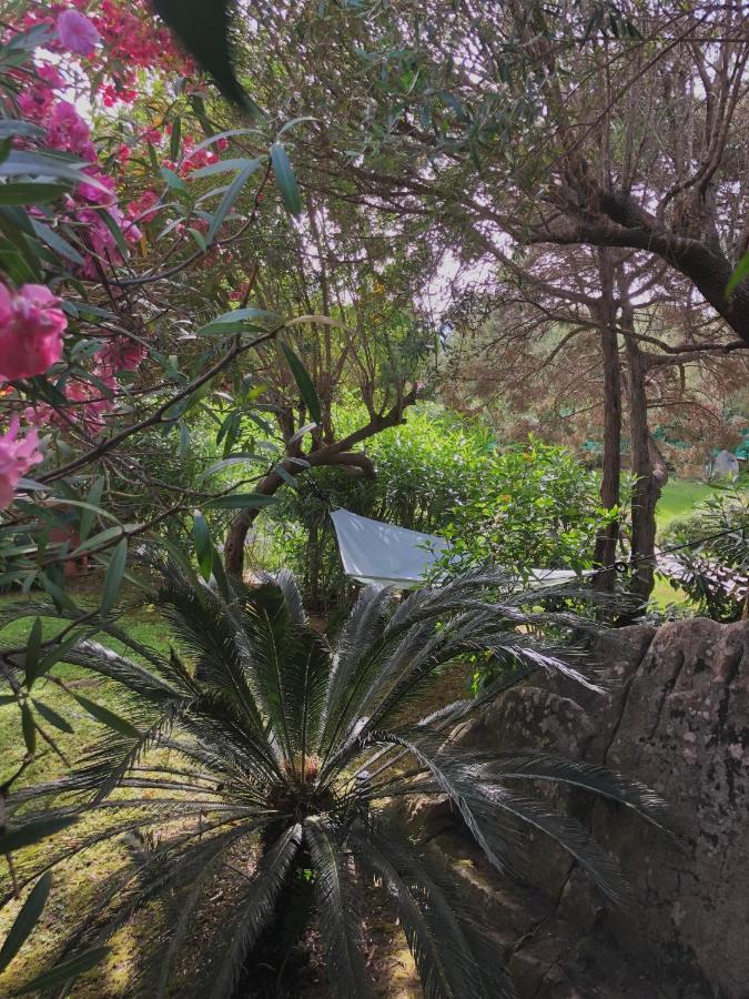 Villa 4 Porto Rotondo Exteriér fotografie